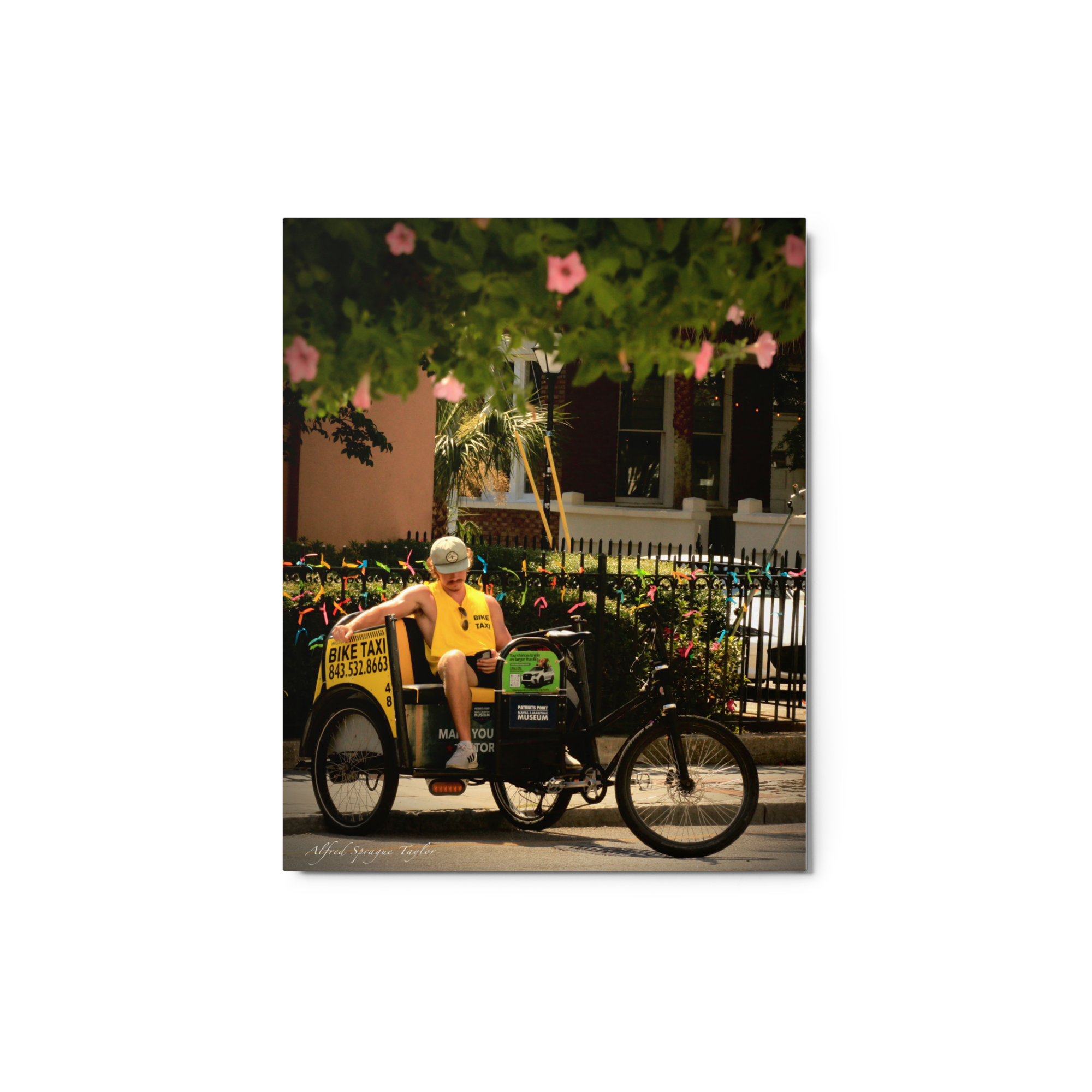 Charleston, SC: "Afternoon Break", 8 x 10 Metal Print