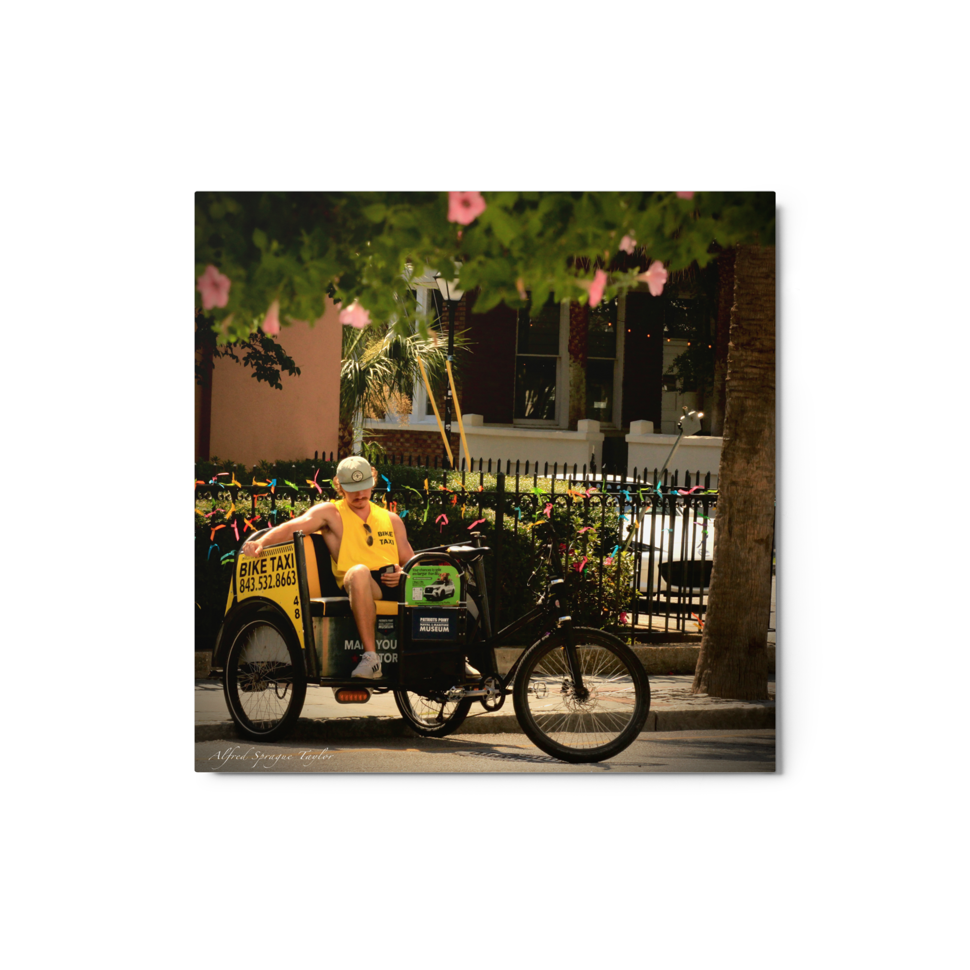 Charleston, SC: "Afternoon Break", 12 x 12  Metal Print