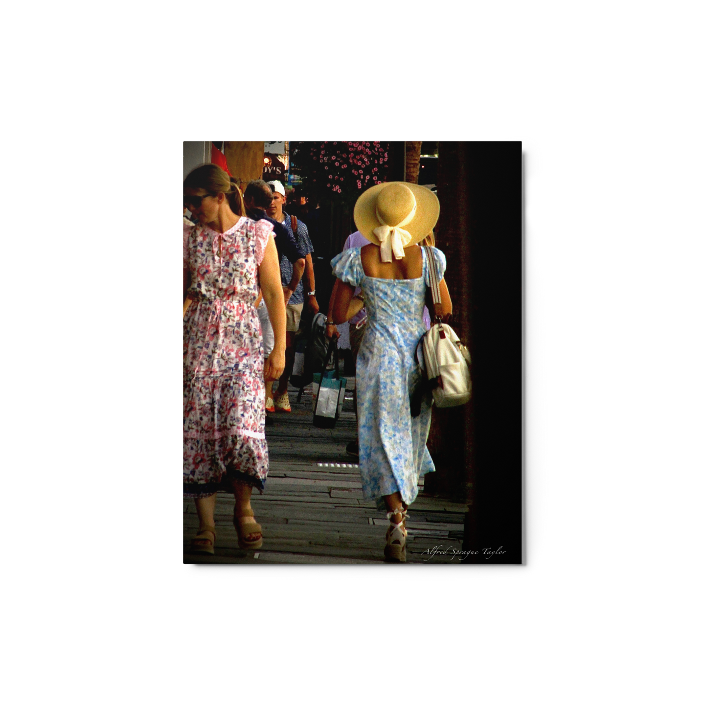 Charleston, SC: "Charleston Girl", 8 x 10 Metal Print