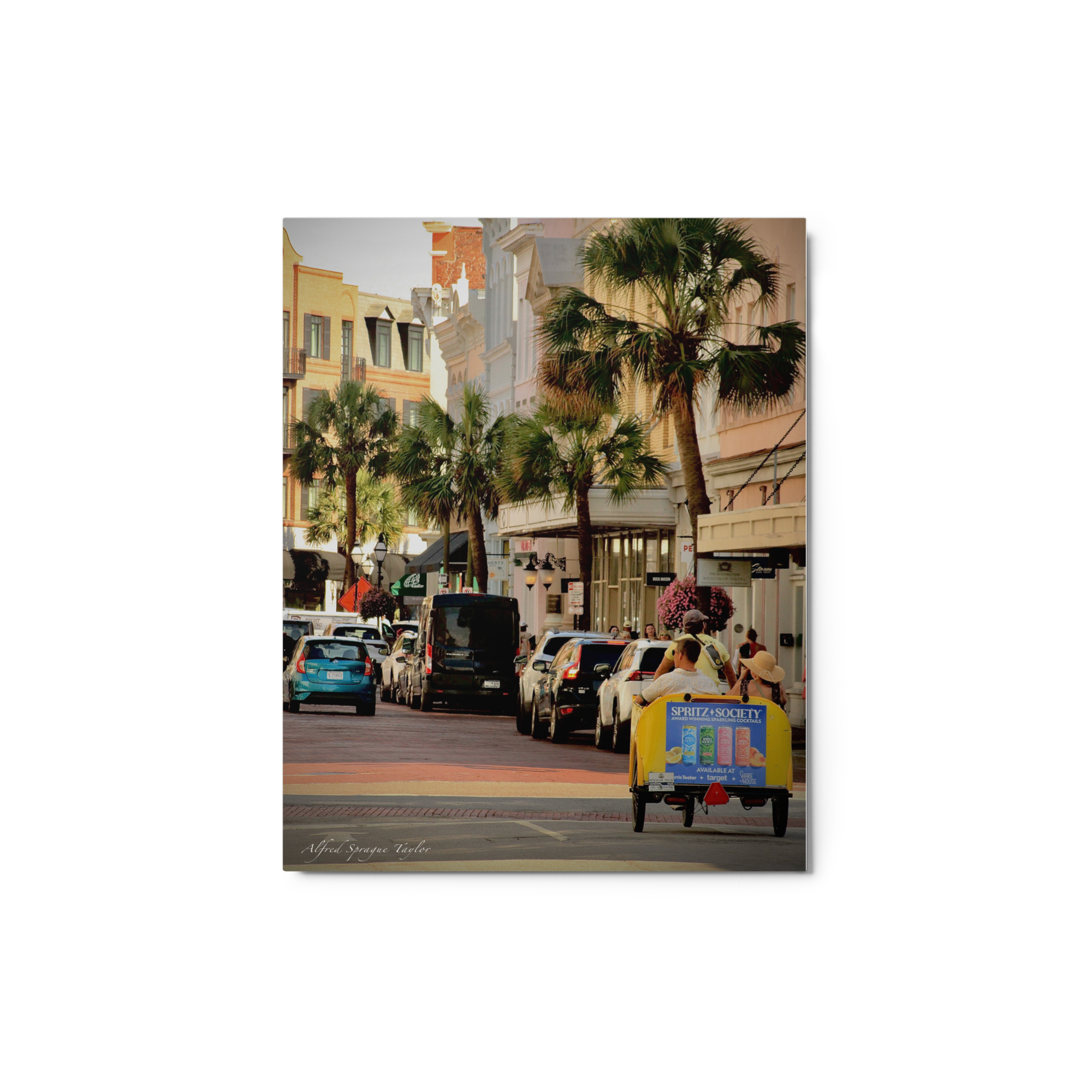 Charleston, SC: "Journey Back Home", 8 x 10 Metal Print