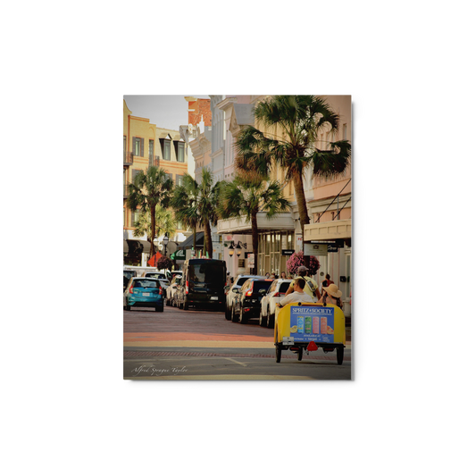 Charleston, SC: "Journey Back Home", 8 x 10 Metal Print